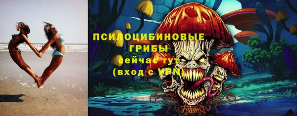 прущие грибы Абинск