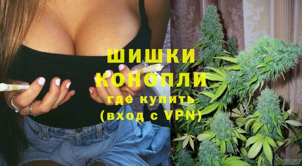 бошки Алзамай