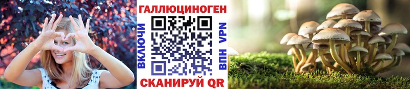 сколько стоит  Чехов  Галлюциногенные грибы Psilocybe 